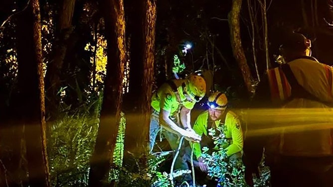 A 30-year-old man was rescued last week after falling 30 feet from a cliff in Hawaiʻi Volcanoes National Park.