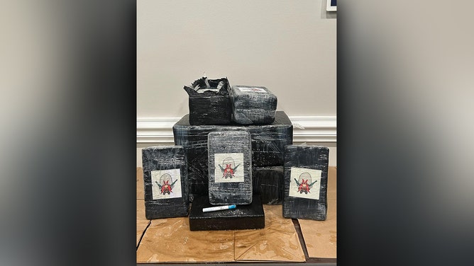 A shocking discovery on a Florida beach led to the confiscation of nearly half a million dollars in cocaine by the Walton County Sheriff's Office.