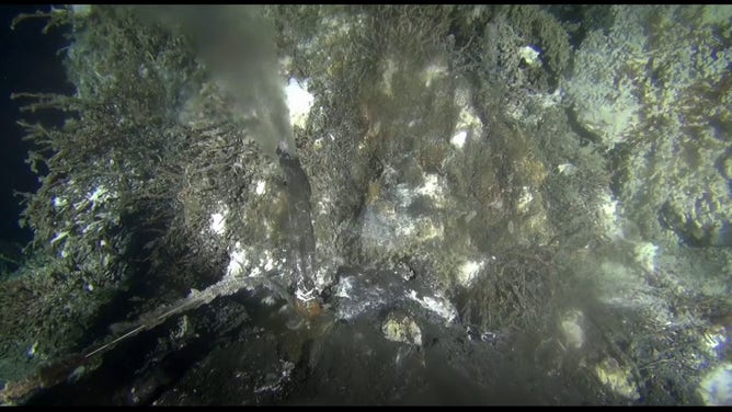 This image comes from a live stream video of a 14-foot tall actively venting hot spring deposit called "Mushroom" located within the ASHES vent field on Axial Seamount in the Pacific Ocean.
