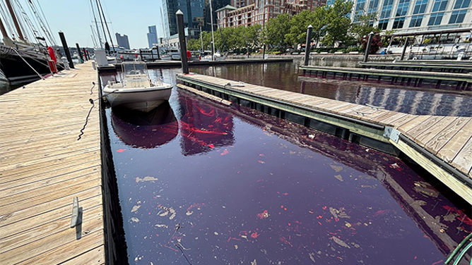 This image shows a diesel fuel spill in Baltimore on June 4, 2025.