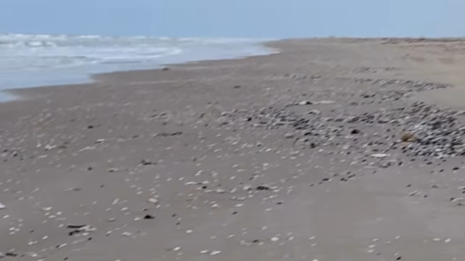 SpaceX Starship mission debris in Mexico.