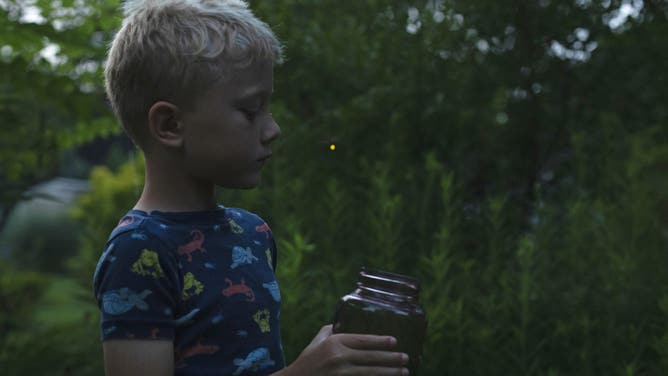 Catching fireflies.