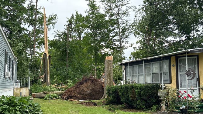 An EF-1 tornado sent tree limbs crashing into homes leaving three dead,