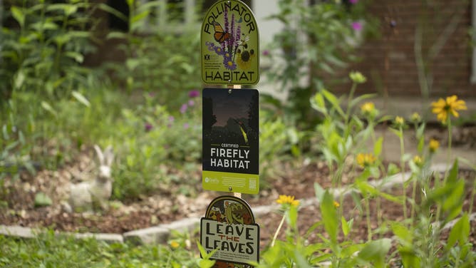 A firefly habitat sign.