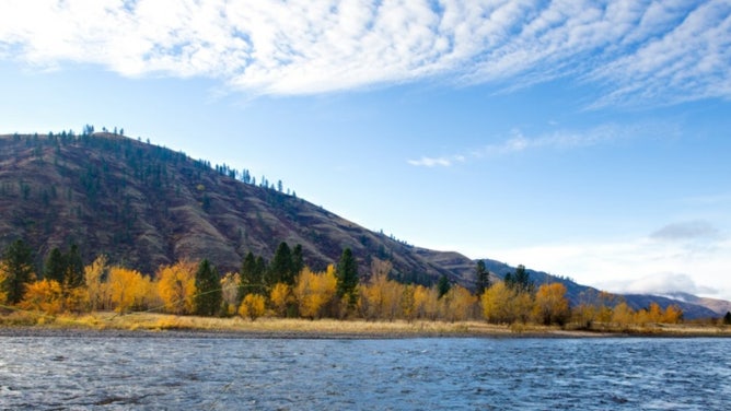 Scene at Clearwater River in Idaho.
