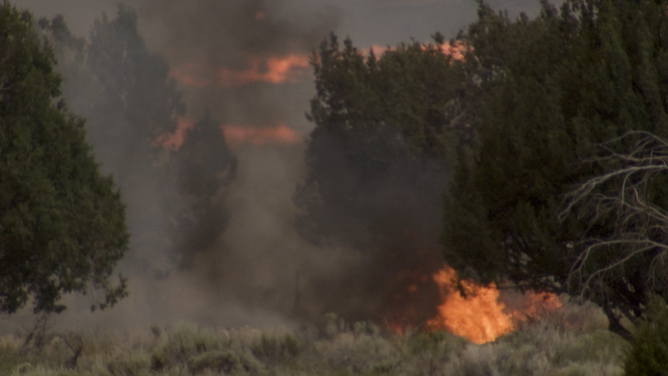 Flames fromt the Forsyth Fire