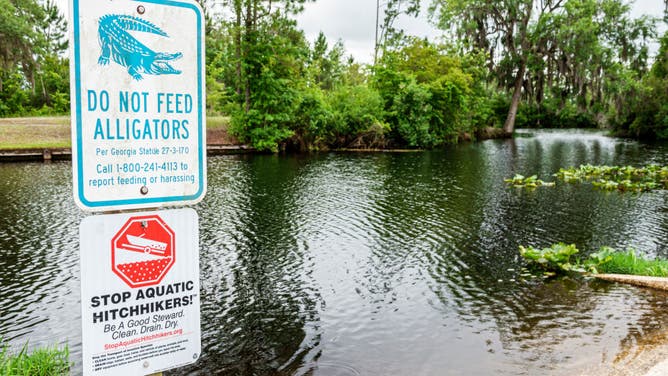 Folkston, Georgia, Okefenokee National Wildlife Refuge