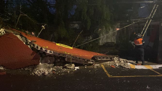Tree fell onto van during storms produced by Tropical Storm Dalia in Acapulco, Mexico.