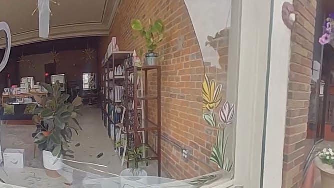 A deer broken into a hair salon in Keokuk, Iowa, shattering the front window.