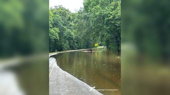 Heavy rainfall on 6/12/2025 causes flooding around Houston County, Texas.