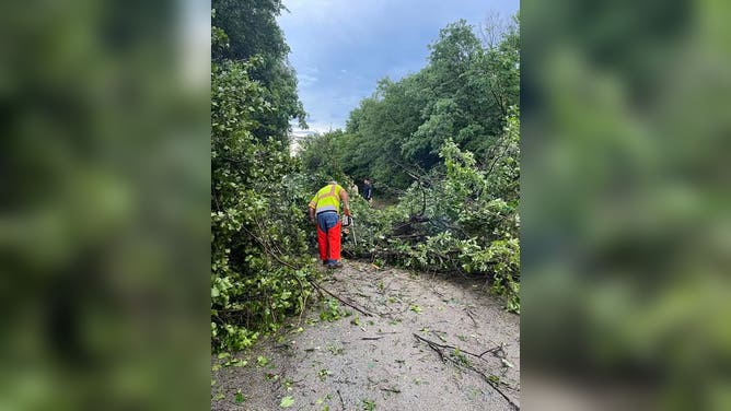 The fire department in Luther, Oklahoma responded to trees brought down after severe storms Friday, June 6, 2025.
