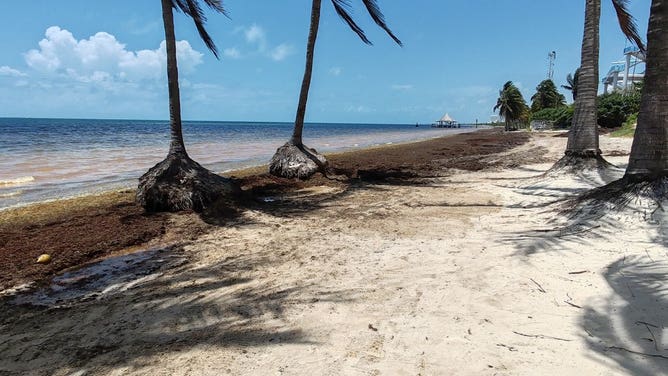 Photos from Cancun, Mexico on June 7, 2025.