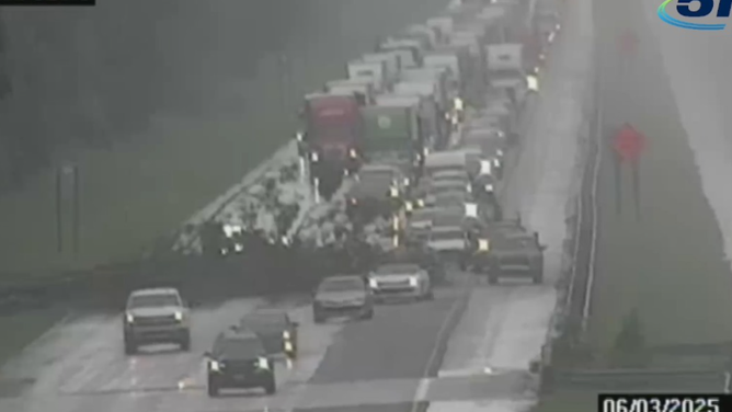 Large tree blocks traffic along I-95 north of St. Augustine.