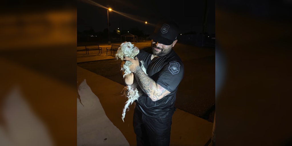 VIDEO: Police officers successfully rescue dog stuck in Arizona canal ...