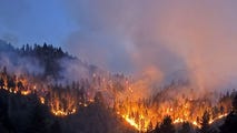 3 firefighters injured by falling tree while battling California wildfire