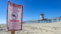 Bacteria worries close several beaches across US ahead of 4th of July