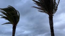 Monitoring the Gulf for potential tropical threat as massive Saharan dust plume, hostile winds lash Atlantic