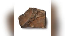 Largest Martian meteorite on Earth could fetch millions at New York auction