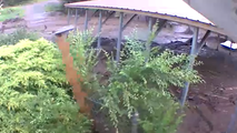 See it: Monsoon flash floods wipe out fence in Ruidoso, New Mexico