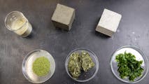 Researchers use seaweed to cut concrete’s carbon footprint
