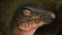 See it: Dinosaur fossil found beneath natural history museum in Denver