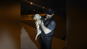 Watch: Arizona police officer leaps into water to save dog stuck in canal