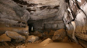 Ancient shark species identified in Mammoth Cave National Park