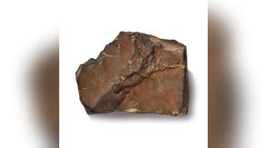 Largest Martian meteorite on Earth could fetch millions at New York auction