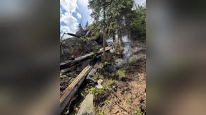 See it: Lightning strike sparks tree fire in remote area of Colorado national park