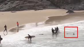Watch: Shark chases surfers after attack along Australia beach
