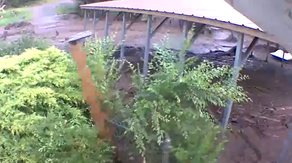 See it: Monsoon flash floods wipe out fence in Ruidoso, New Mexico