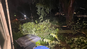 Destructive derecho unleashes hurricane-force wind gusts in northern Plains snapping trees, knocking out power