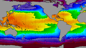 Neutral ENSO conditions likely to last into winter