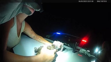Kitten with head stuck in pipe in Florida gets special name after rescue