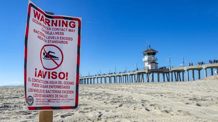 Bacteria worries close several beaches across US ahead of 4th of July