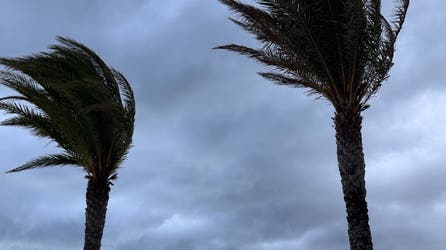 Monitoring the Gulf for potential tropical threat as massive Saharan dust plume, hostile winds lash Atlantic