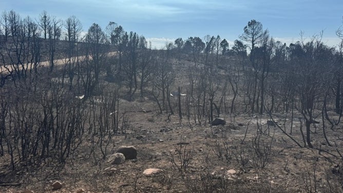 Utah Firenado Damage