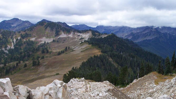Mountain view in Olympic National Park.