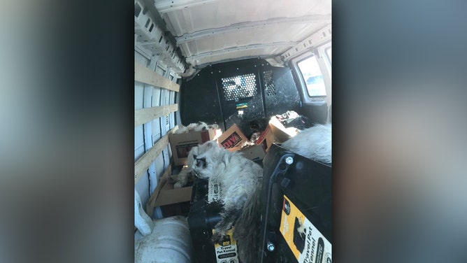 A California woman has been arrested on dozens of cruelty charges after deputies said she left over 100 cats in a U-Haul van, enduring extreme heat.