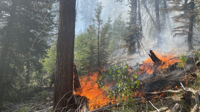 Dragon Bravo Fire in Grand Canyon National Park on Wednesday, July 9, 2025.