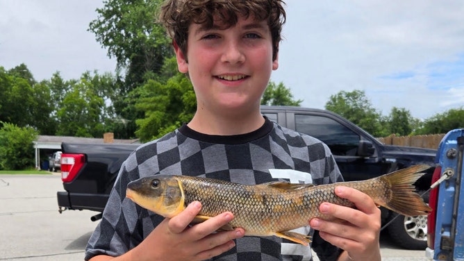 Daniel Bridgmon caught this 1-pound, 15-ounce white sucker at Bull Shoals State Park, setting the first state record for the species in Arkansas.