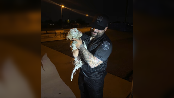 The brave and soggy dog looks up at his rescuer after a long struggle in the water.