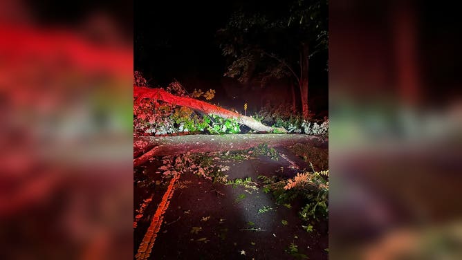 Downed tree blocks Orange Grove Road in Hillsborough, North Carolina on Monday, July 7, 2025.
