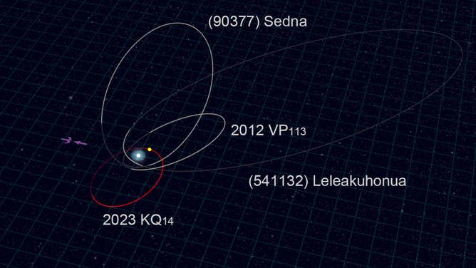 The orbit of Ammonite (red line) and the orbits of the other three sednoids (white lines). Ammonite was discovered close to its perihelion, at a distance of 71 astronomical units (71 times the average distance between the Sun and Earth). The yellow point shows its position as of July 2025. 