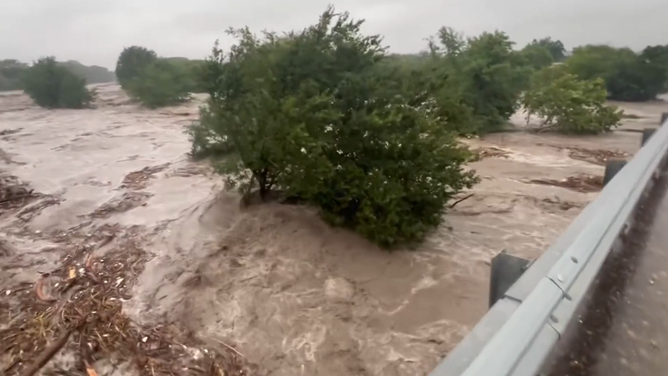The river levels became so high they overtook trees.