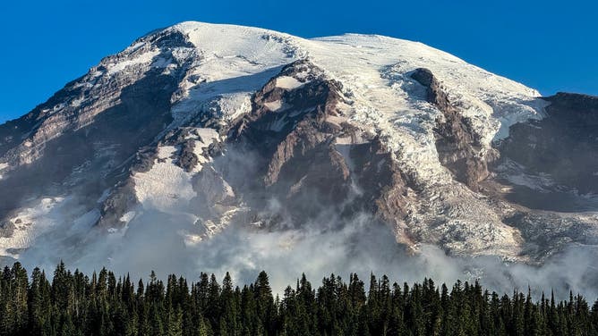 Mt. Rainier National Park