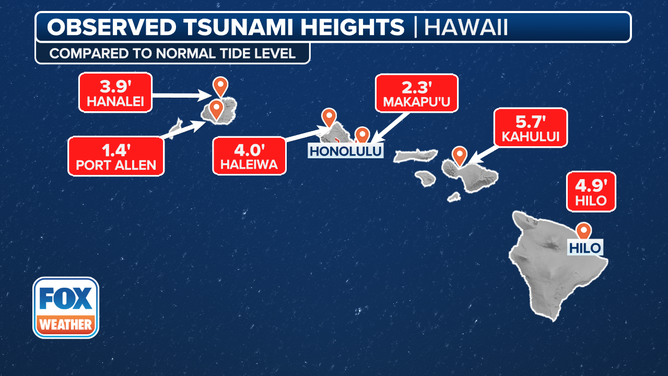 This graphic shows observed tsunami wave heights in Hawaii.