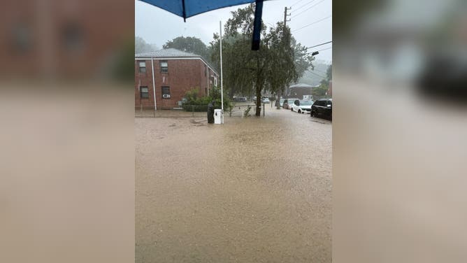Street flooding in White Plains, NY with cars submerged in floodwaters.