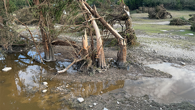 Trees are seen snapped like twigs after historic and deadly flooding in Kerrville, Texas.