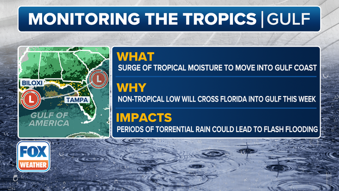 This graphic shows information on tropical moisture moving into the Gulf.
